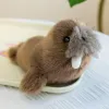Extraordinary baby, soft and fragrant suction, sea lion magnetic refrigerator sticker, plush doll, toy table companion doll, cute and fun gift choice, magnetic suction plush doll switch decoration, home cute wall-mounted style details Picture